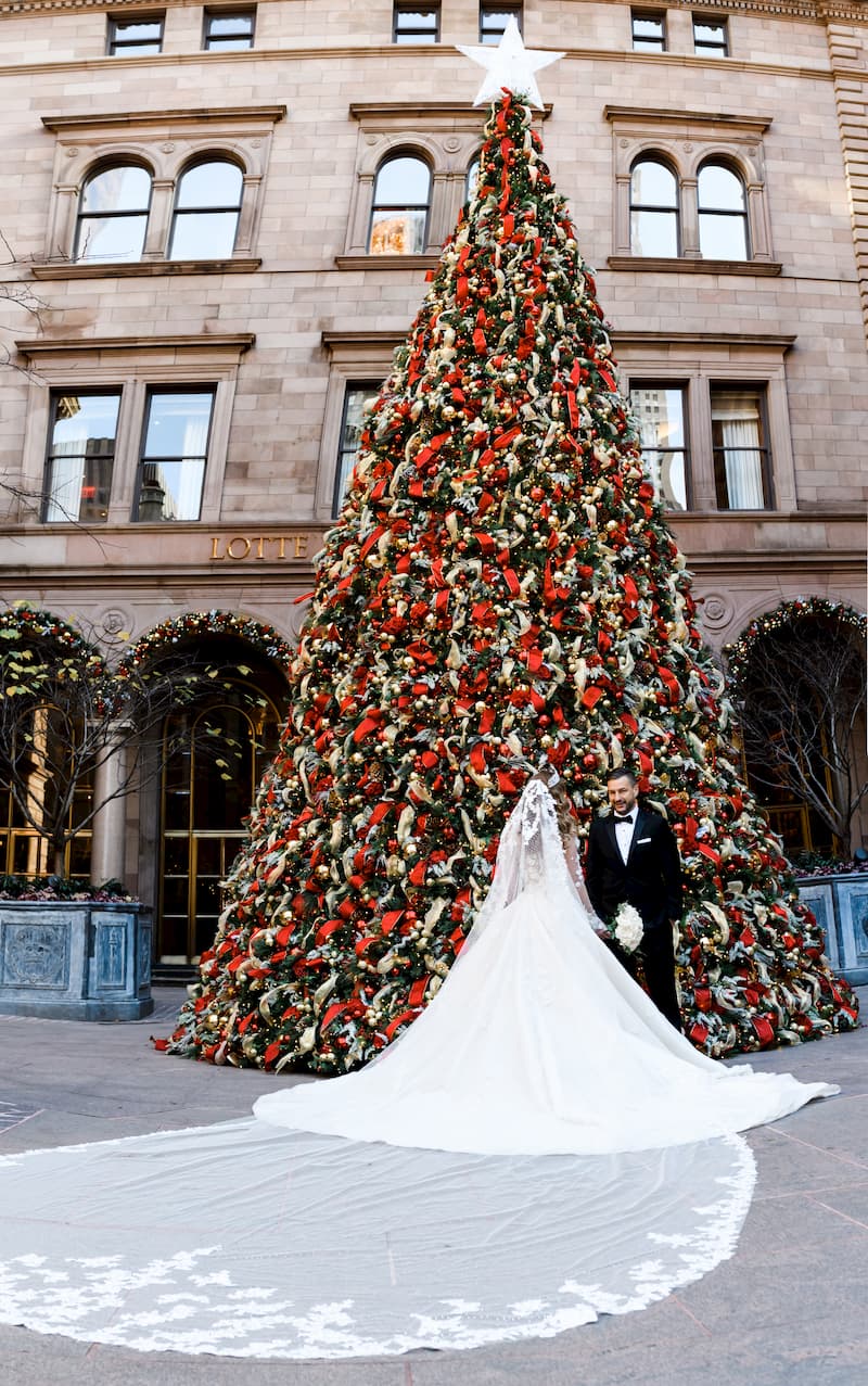 best luxury wedding veil